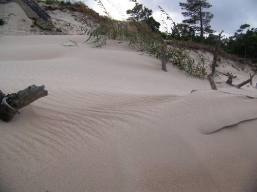 Viel Sand (100_0820.JPG) wird geladen. Eindrucksvolle Fotos aus Lettland erwarten Sie.